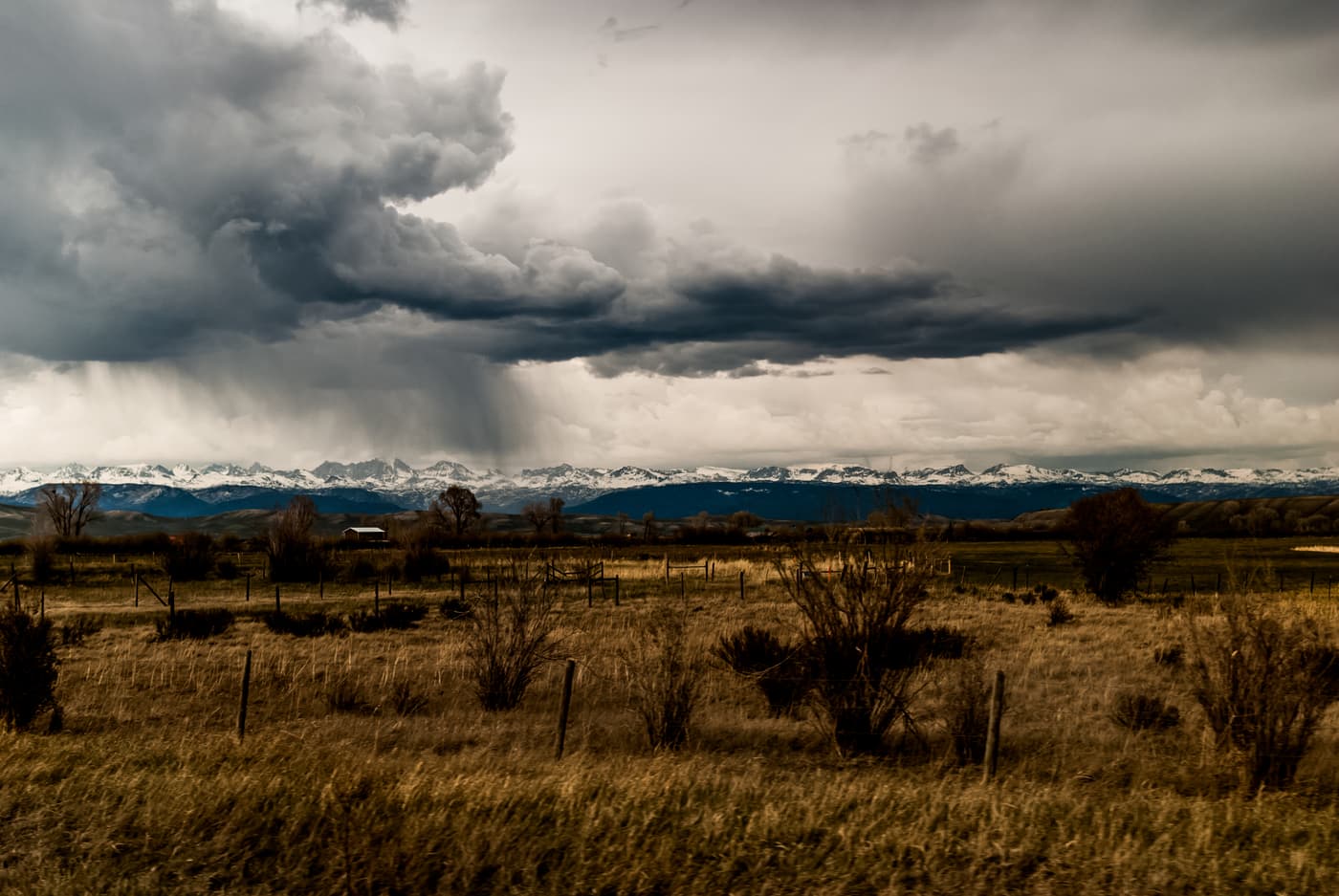 Open grassland with fence posts and bare shrubs under a heavy, dark storm cloud. A curtain of rain falls at the left, and a line of snow-covered mountains runs along the horizon under a band of pale sky.