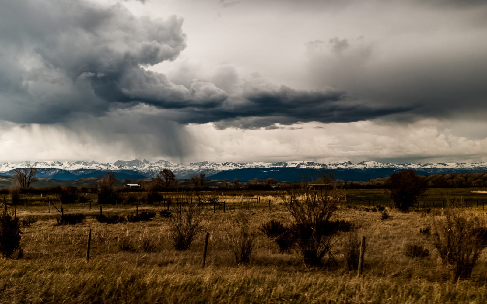 Open grassland with fence posts and bare shrubs under a heavy, dark storm cloud. A curtain of rain falls at the left, and a line of snow-covered mountains runs along the horizon.